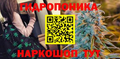 амф Мариинск